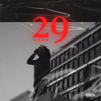 29 (Single)