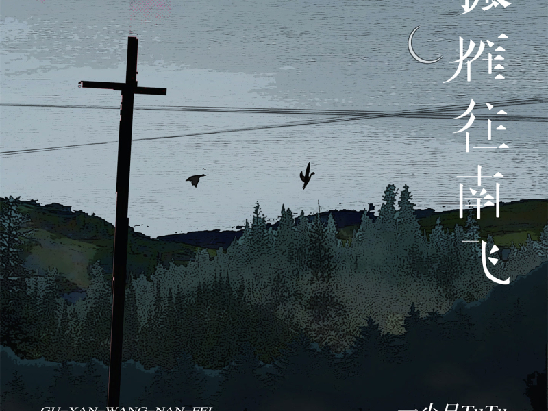 孤雁往南飞 (Single)