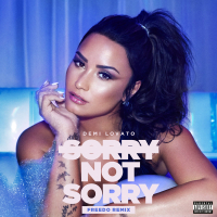 Sorry Not Sorry (Freedo Remix) (Single)