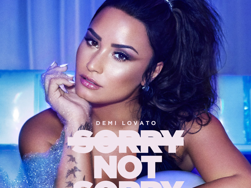 Sorry Not Sorry (Freedo Remix) (Single)