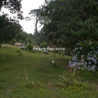 The Earth Sings Worthy (Live) (Single)