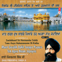 Maat Garabh Dukh Saagro Pyaare Teh Apna Naam Japayed Part-1 Vol-26 (Single)