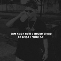 Sem amor com Bolso cheio de Onça Funk Rj (Single)