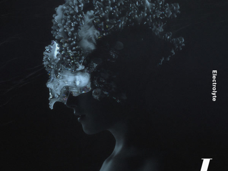 Electrolyte (Single)