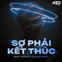 Sợ Phải Kết Thúc (Danius Remix) (Single)