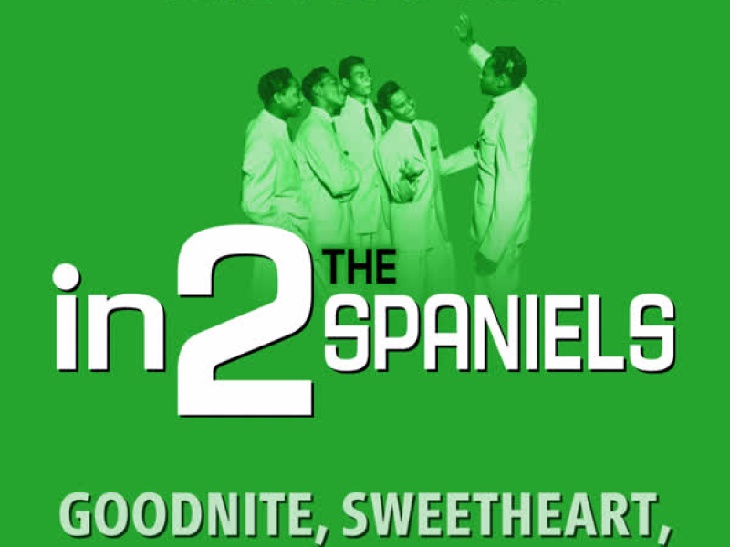 in2The Spaniels - Volume 1