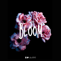 Bloom (Single)