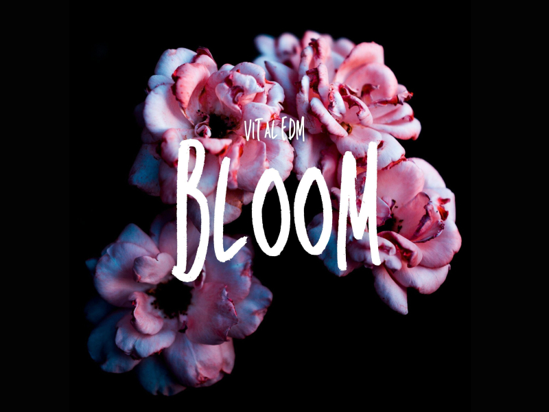 Bloom (Single)