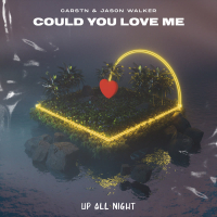 Could You Love Me (Single)