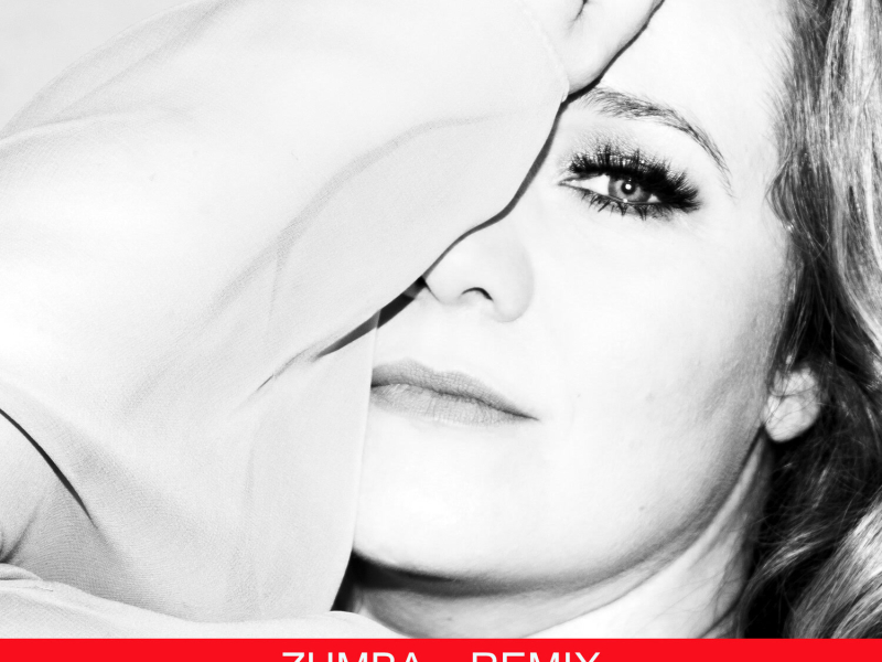 Sumir lifa fyrir sumarið ZUMBA REMIX (Single)