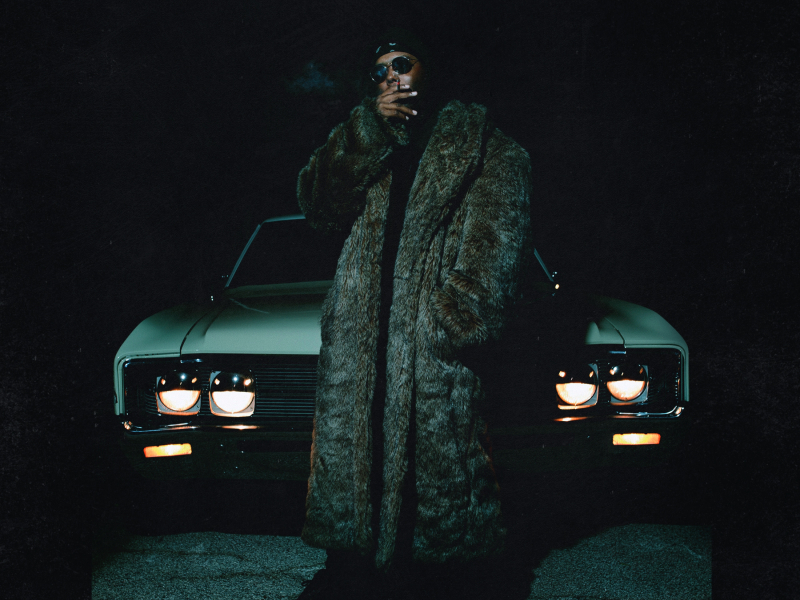 The Mink Coat Killa LP