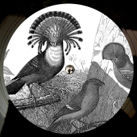 Anna Lunoe & Friends (EP)