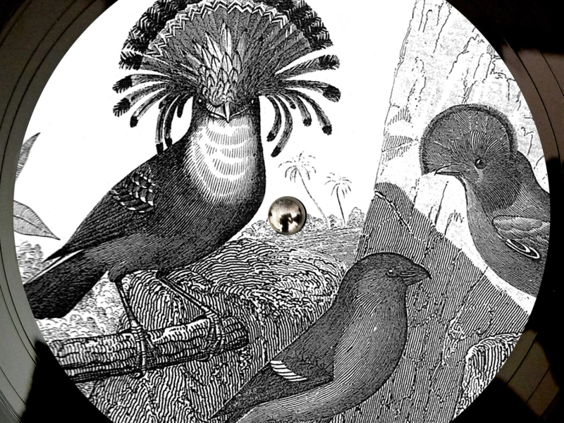 Anna Lunoe & Friends (EP)