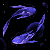 Magnetic Field (Single)