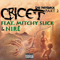 The Payback, Pt. 2 (feat. Mitchy Slick & Niré)