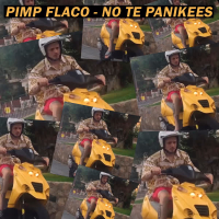 No Te Panikees (Single)