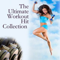 The Ultimate Workout Collection 2010