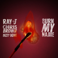 Burn My Name (Single)