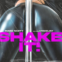 Shake It (Single)