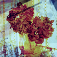 言葉にできない気持ち (Single)