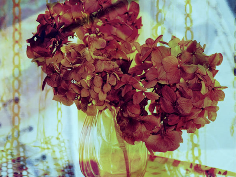 言葉にできない気持ち (Single)