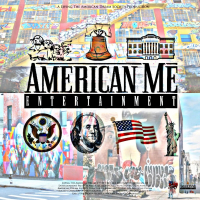 The USN (feat. Xzibit, BoyItse & Hella Stacks) (Single)