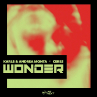 WONDER (Single)