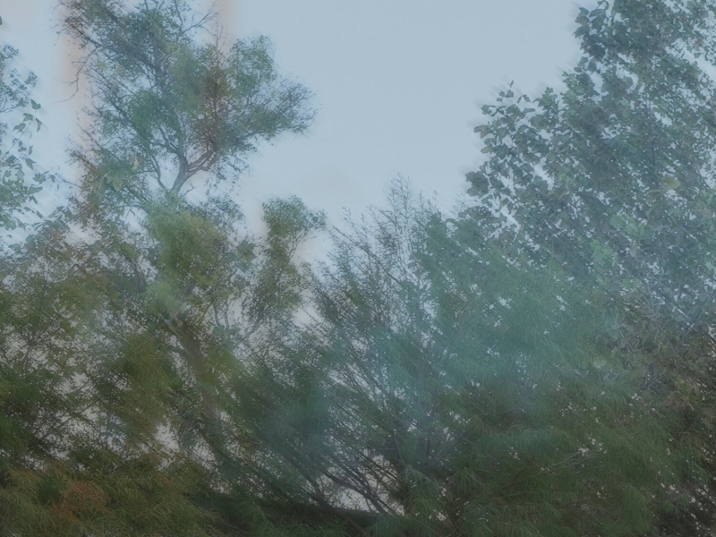 Tarde Ámbar Vol. 2 (Acústico en Vivo) (EP)