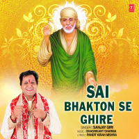 Sai Bhakton Se Ghire (Single)