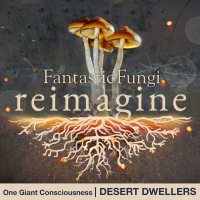 One Giant Consciousness (Fantastic Fungi: Reimagine) (Single)