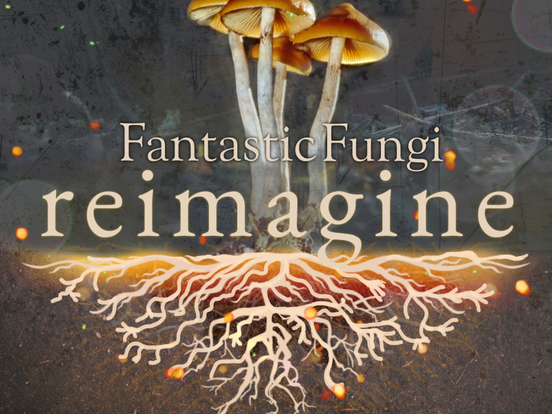 One Giant Consciousness (Fantastic Fungi: Reimagine) (Single)