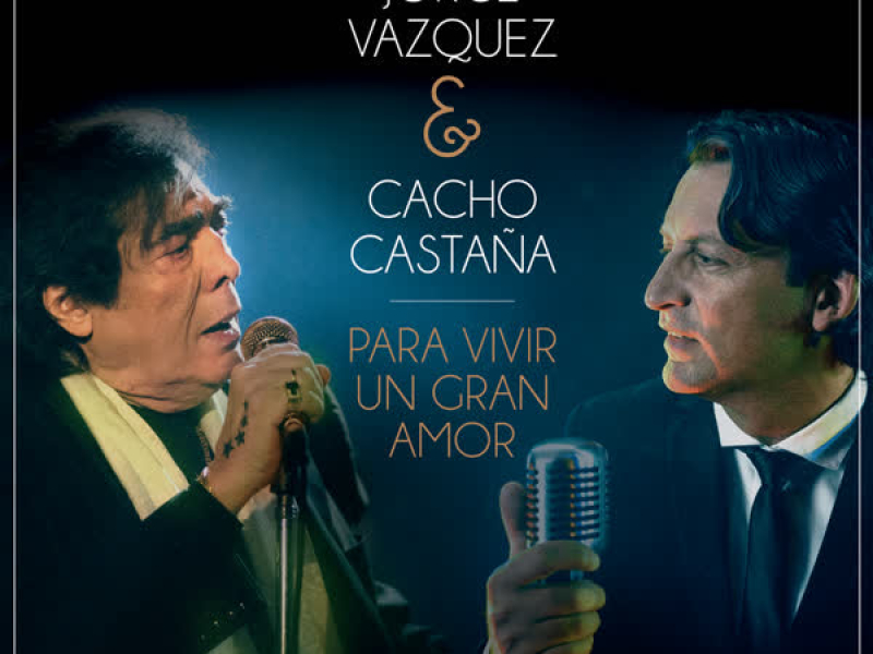 Para Vivir un Gran Amor (Single)