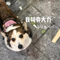 我叫夯大力 (Single)