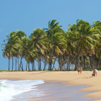 Alagoas, Joia do Brasil (Single)