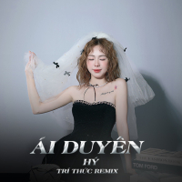 Ái Duyên (Trí Thức Remix) (Single)