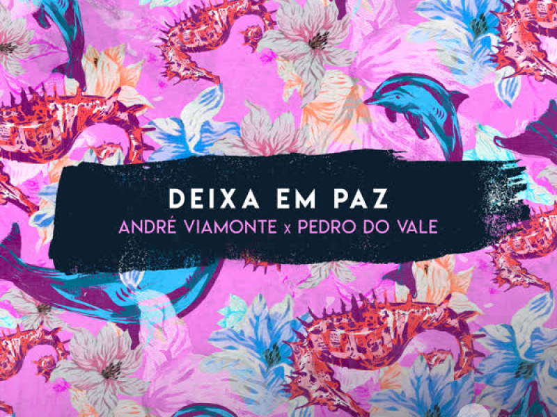 Deixa em Paz (Single)