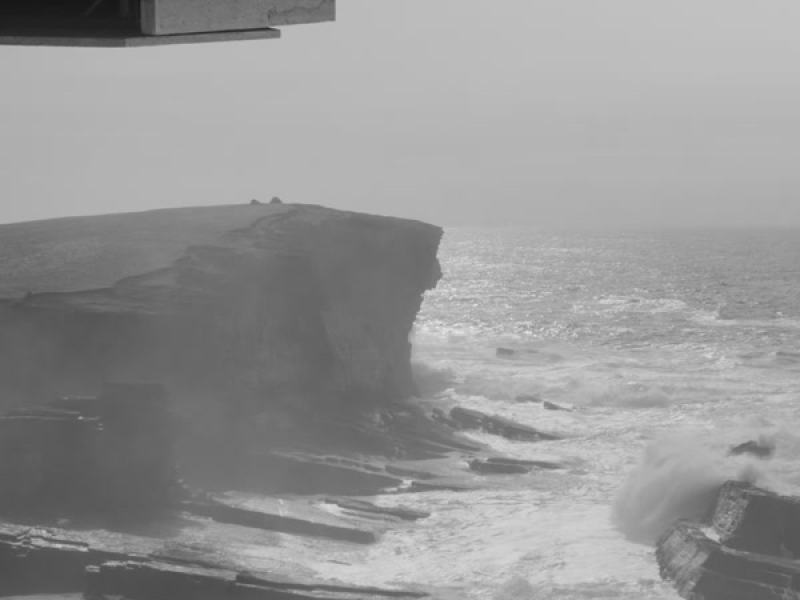 Even Songbirds Suffer (Single)