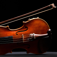 String Quartet in C# minor (Single)