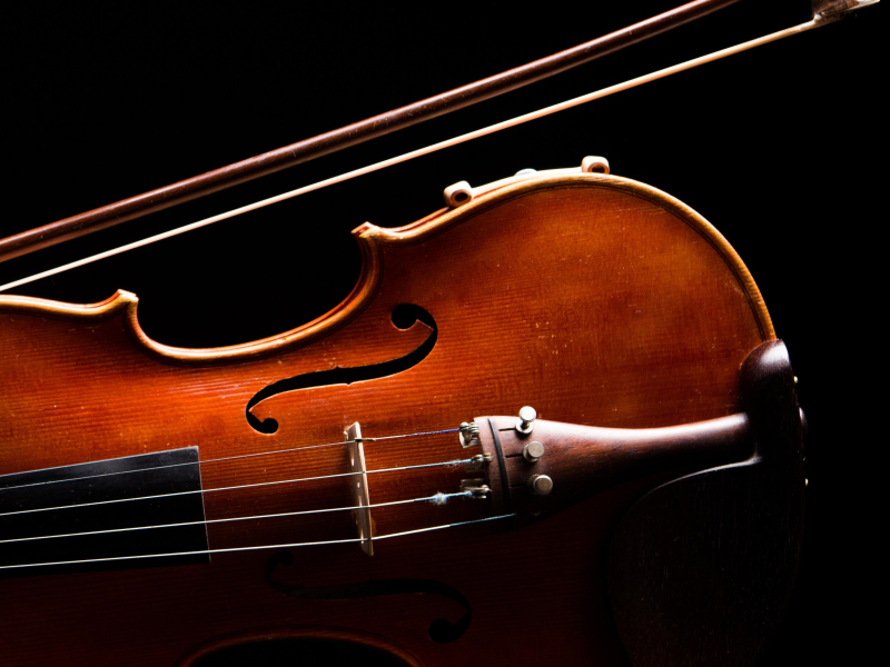 String Quartet in C# minor (Single)