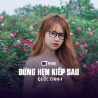 Đừng Hẹn Kiếp Sau (Disco Remix)