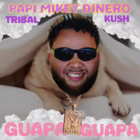 Guapa Guapa (Single)