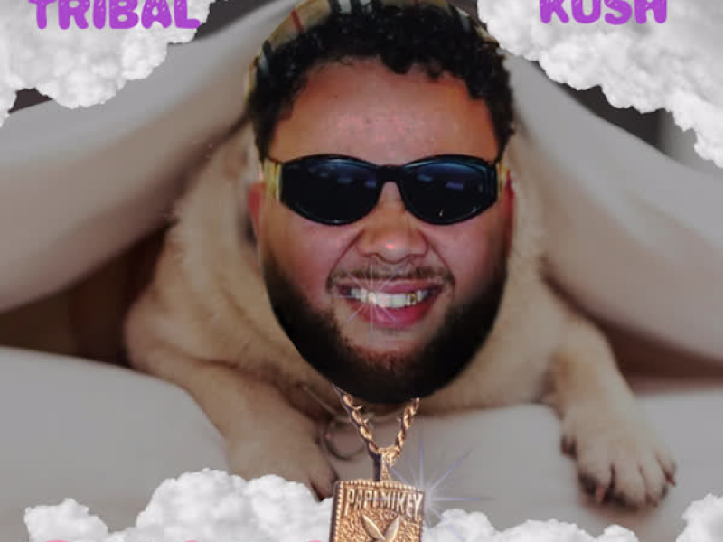 Guapa Guapa (Single)