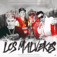 LOS MALVEKES (GUARACHA REMIX) (Single)