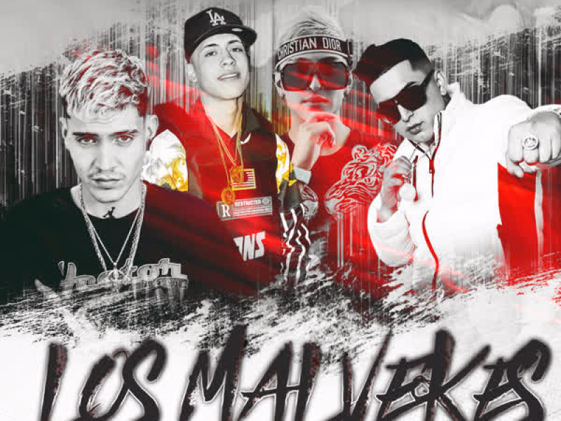 LOS MALVEKES (GUARACHA REMIX) (Single)