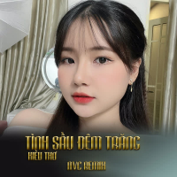 Tình Sầu Đêm Trăng (NVC Remix) (Single)