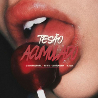 TESÃO ACUMULADO (Single)