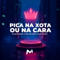 PICA NA XOTA OU NA CARA (Single)