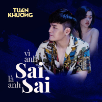 Vì Anh Sai, Là Anh Sai (Single)