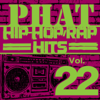 Phat Hip-Hop/Rap Hits, Vol. 22