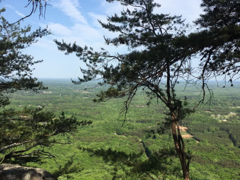 Just for This Moment